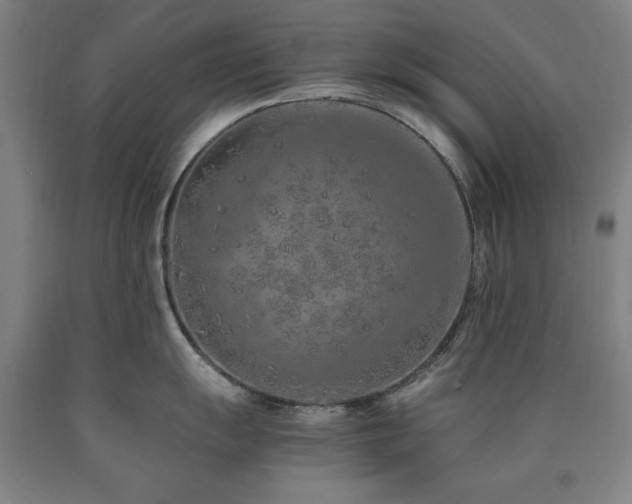 X0000090901055200707301409