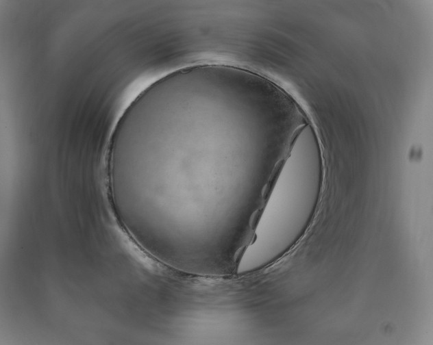 X0000090901056200707301409