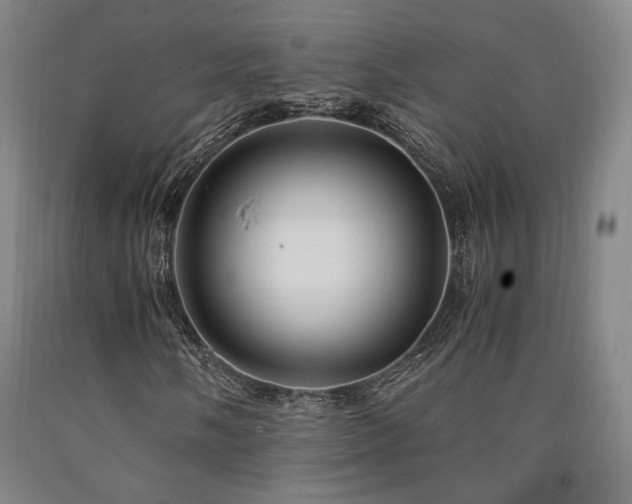 X0000090901058200707301408