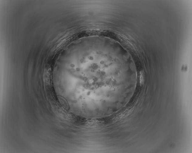 X0000090901059200707301408