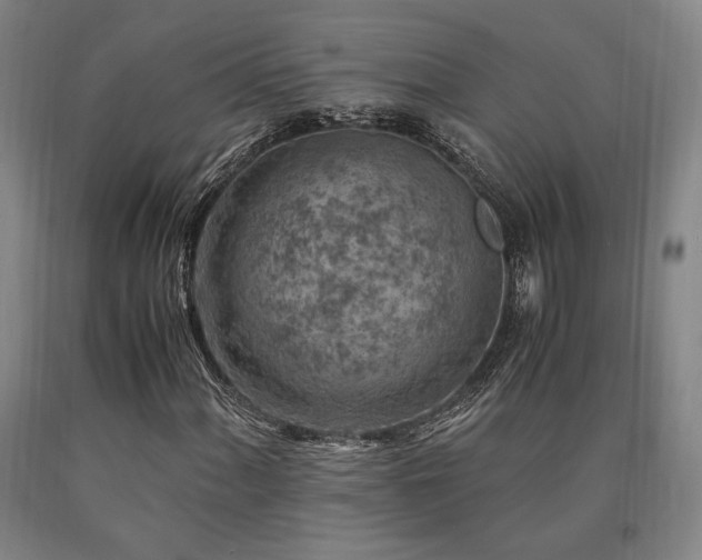 X0000090901060200707301408