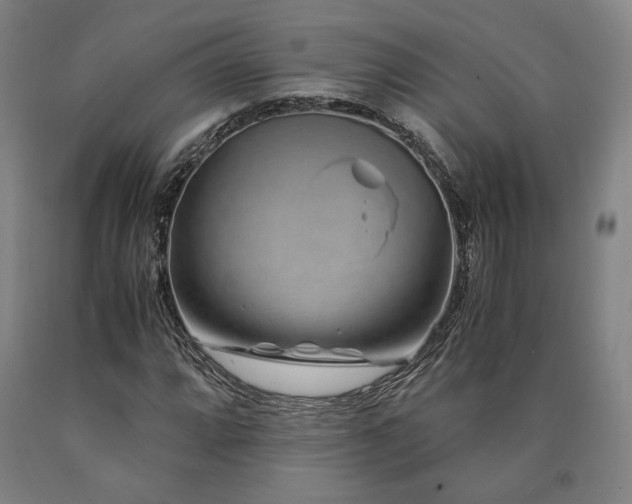 X0000090901064200707301408