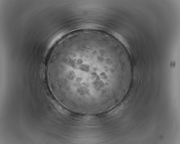 X0000090901067200707301408