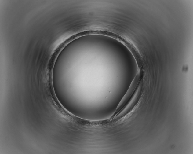X0000090901070200707301408