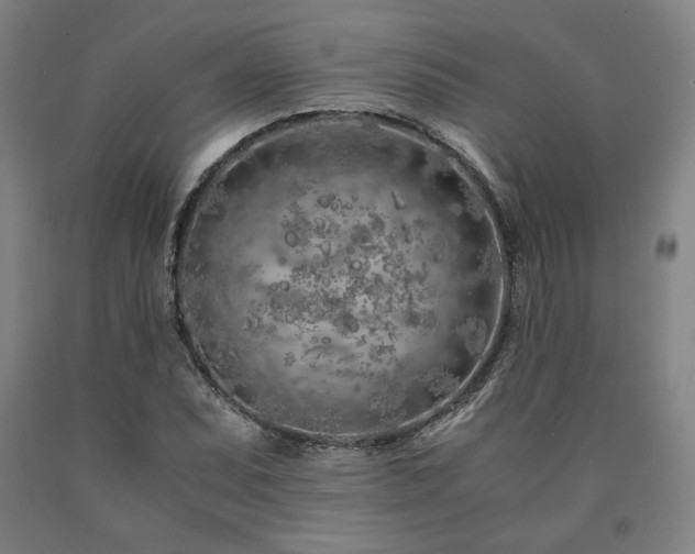 X0000090901071200707301408