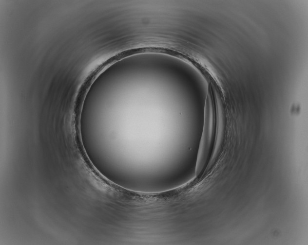 X0000090901072200707301408