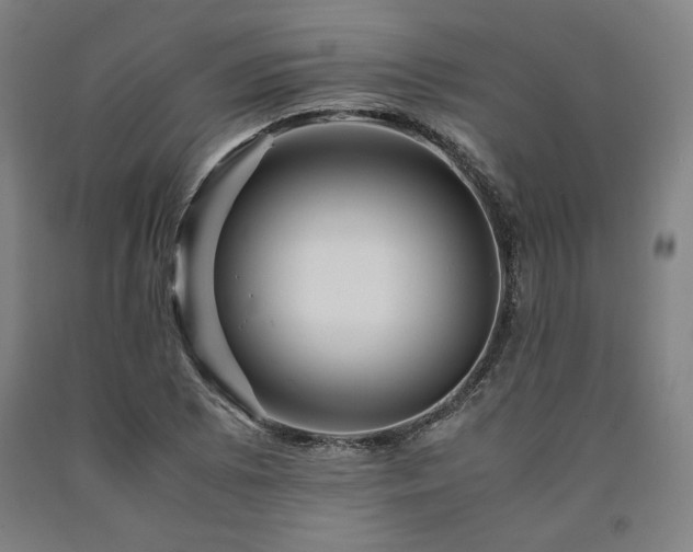 X0000090901073200707301408