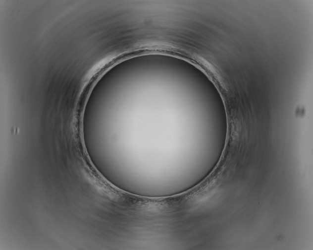 X0000090901074200707301408
