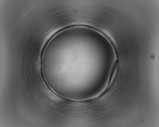 X0000090901076200707301408