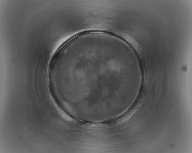 X0000090901077200707301408