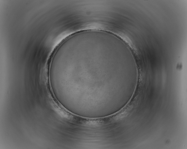 X0000090901078200707301408