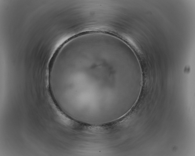 X0000090901079200707301408