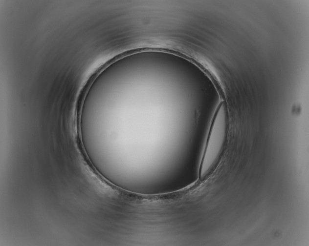 X0000090901080200707301408
