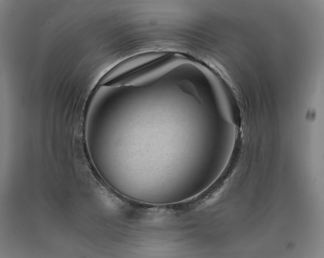 X0000090901081200707301408