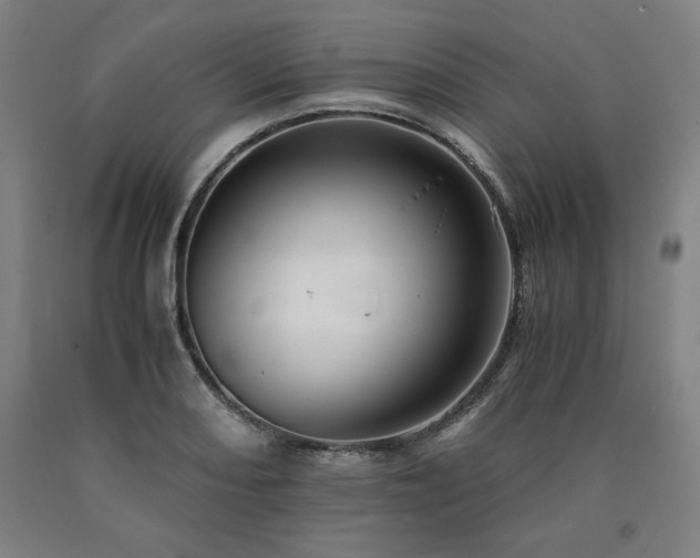 X0000090901082200707301408