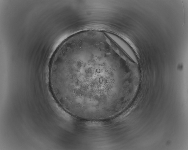 X0000090901083200707301408