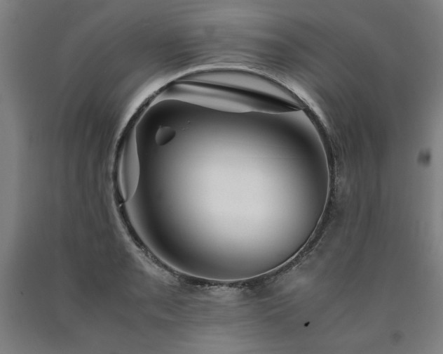 X0000090901085200707301408