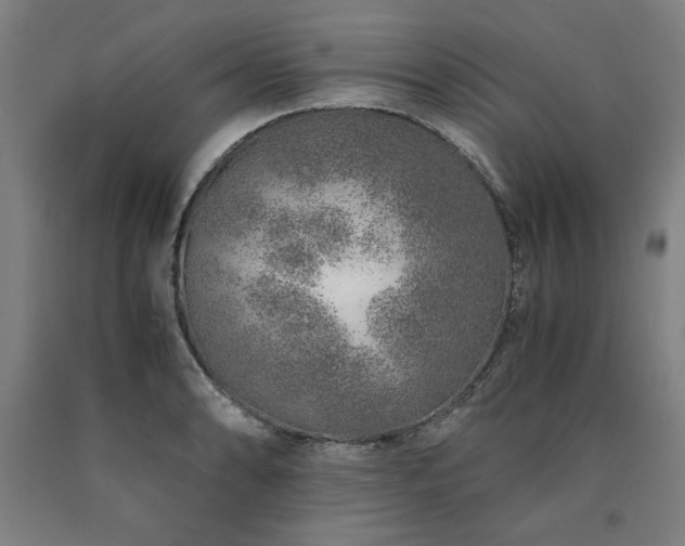 X0000090901086200707301408