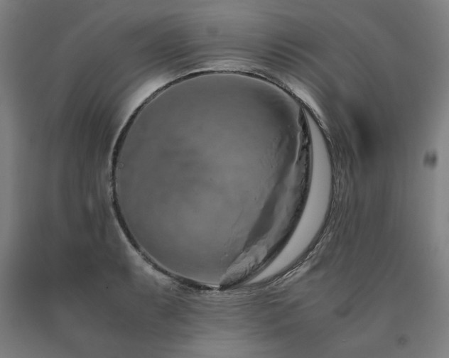X0000090901087200707301408