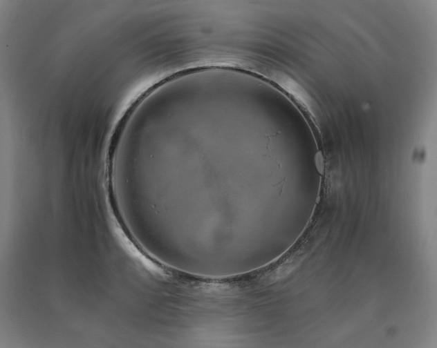 X0000090901088200707301407