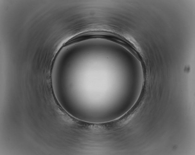 X0000090901089200707301407