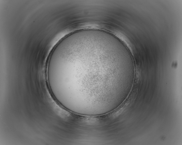 X0000090901090200707301407