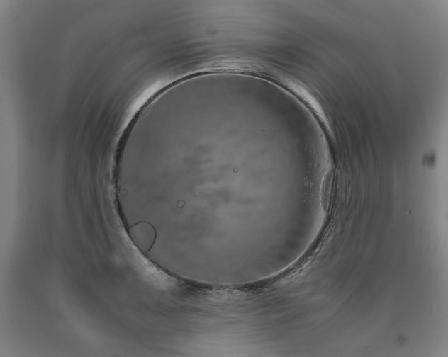 X0000090901091200707301407