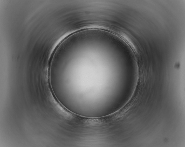 X0000090901092200707301407