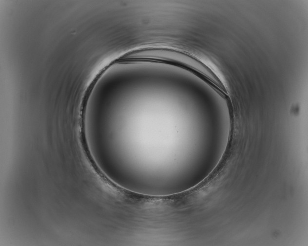 X0000090901093200707301407