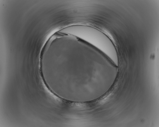 X0000090901095200707301407