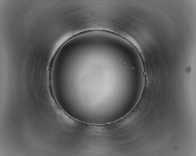 X0000090901096200707301407