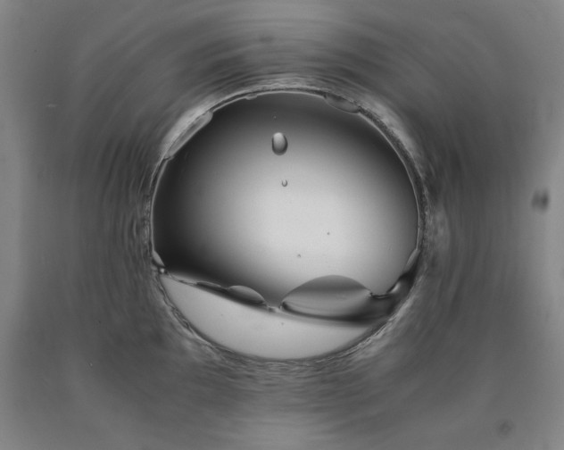 X0000090901097200707301407