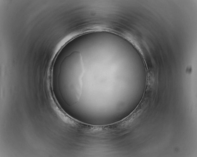 X0000090901098200707301407