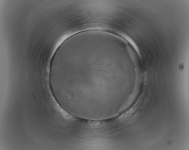X0000090901099200707301407