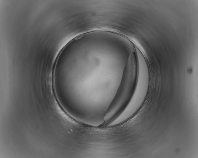 X0000090901100200707301407