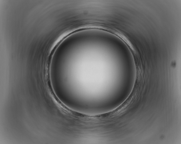 X0000090901101200707301407