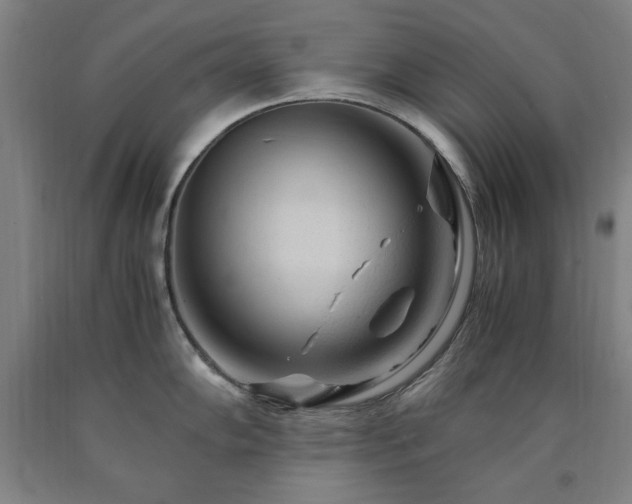 X0000090901102200707301407