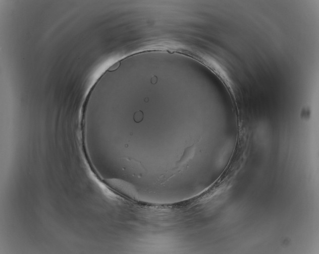 X0000090901103200707301407