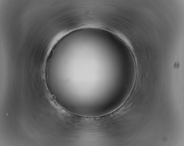 X0000090901104200707301407