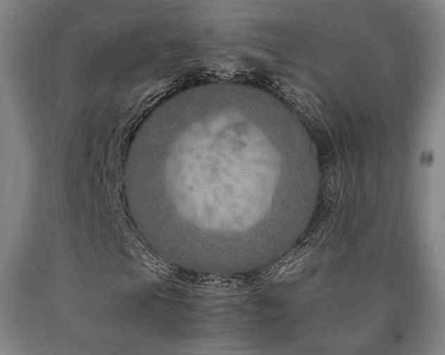 X0000090901105200707301407