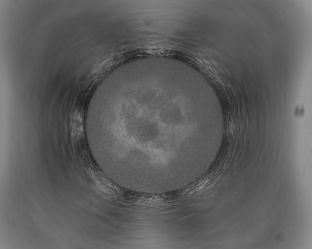 X0000090901106200707301407