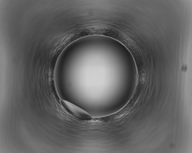 X0000090901108200707301407