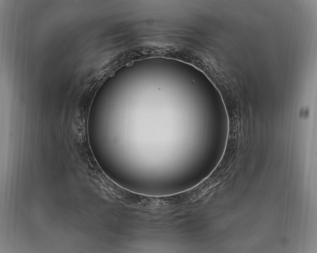 X0000090901109200707301407