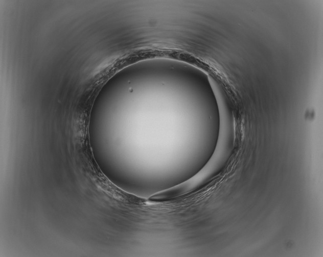X0000090901110200707301407