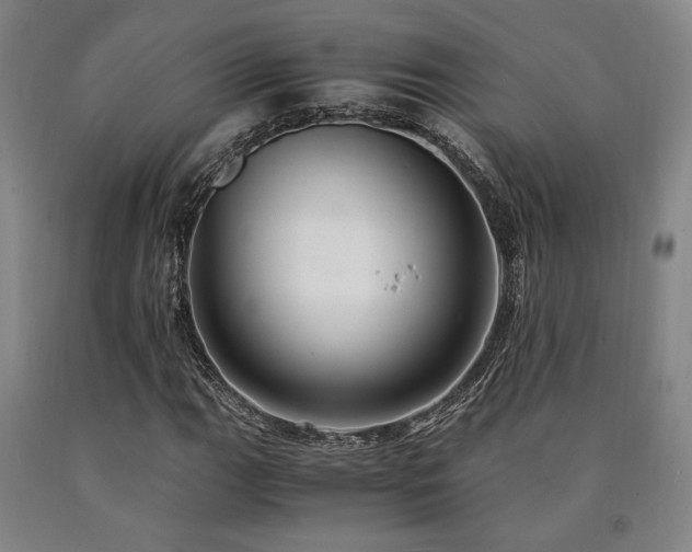 X0000090901111200707301407