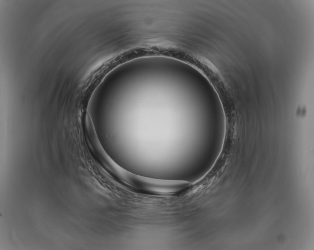 X0000090901112200707301407