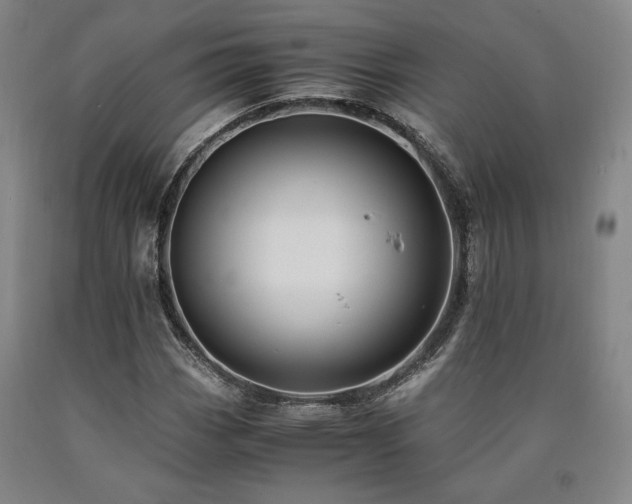 X0000090901113200707301407
