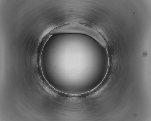 X0000090901114200707301407