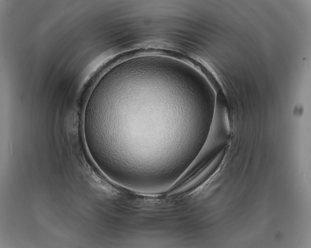 X0000090901115200707301407