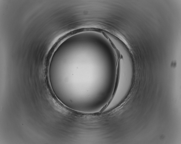 X0000090901116200707301407